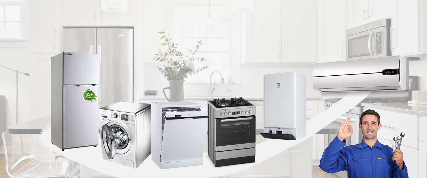 Çivril Electrolux Servisi